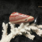 Preview: Flamingo Onyx Anhänger